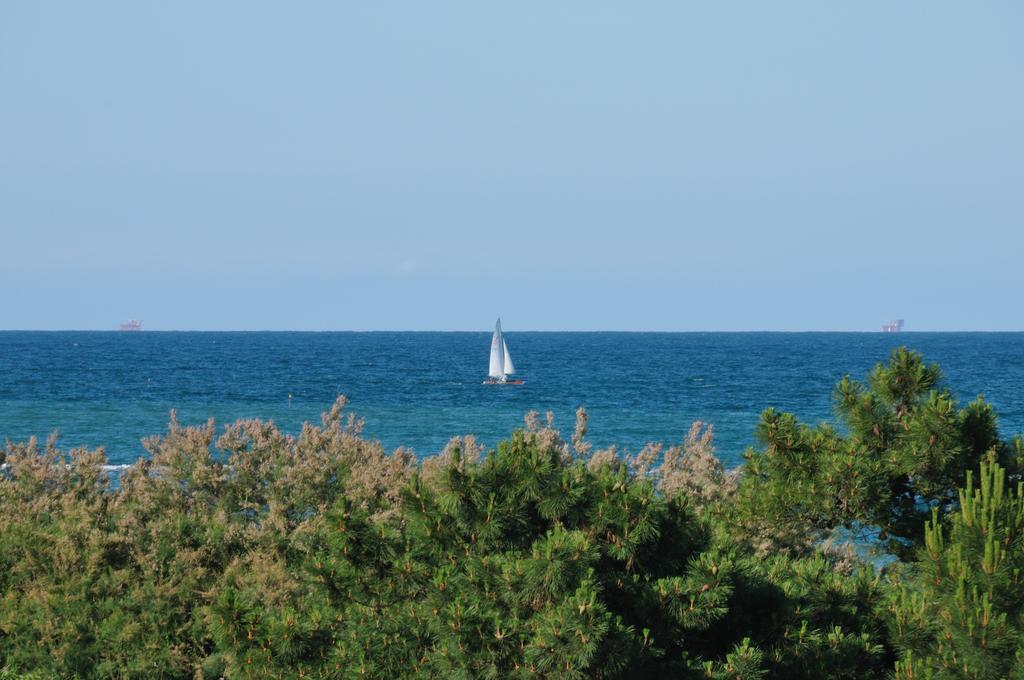 Hotel-Residence-B&B Le Dune Beach Service Included リド・アドリアーノ 部屋 写真